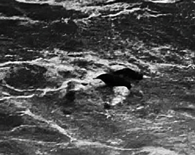 Il corpo e il sangue